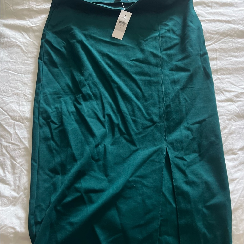 Ann Taylor Green Skirt
